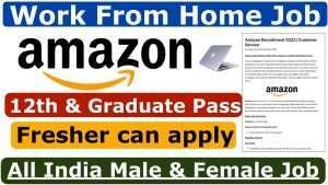 Amazon Work From Home Job 2022