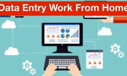 Data Entry Work From Home Job 2022