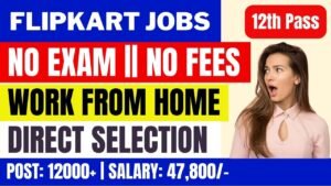 Flipkart Freshers Work From 2024