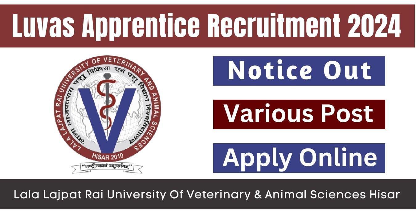 Luvas Apprentice Recruitment 2024