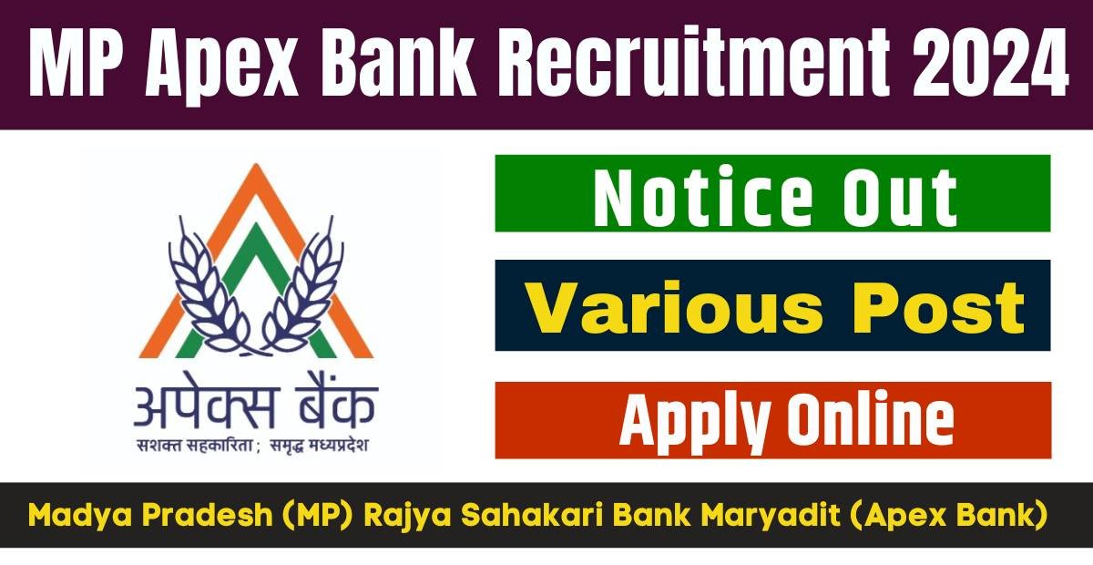 MP Apex Bank Recruitment 2024