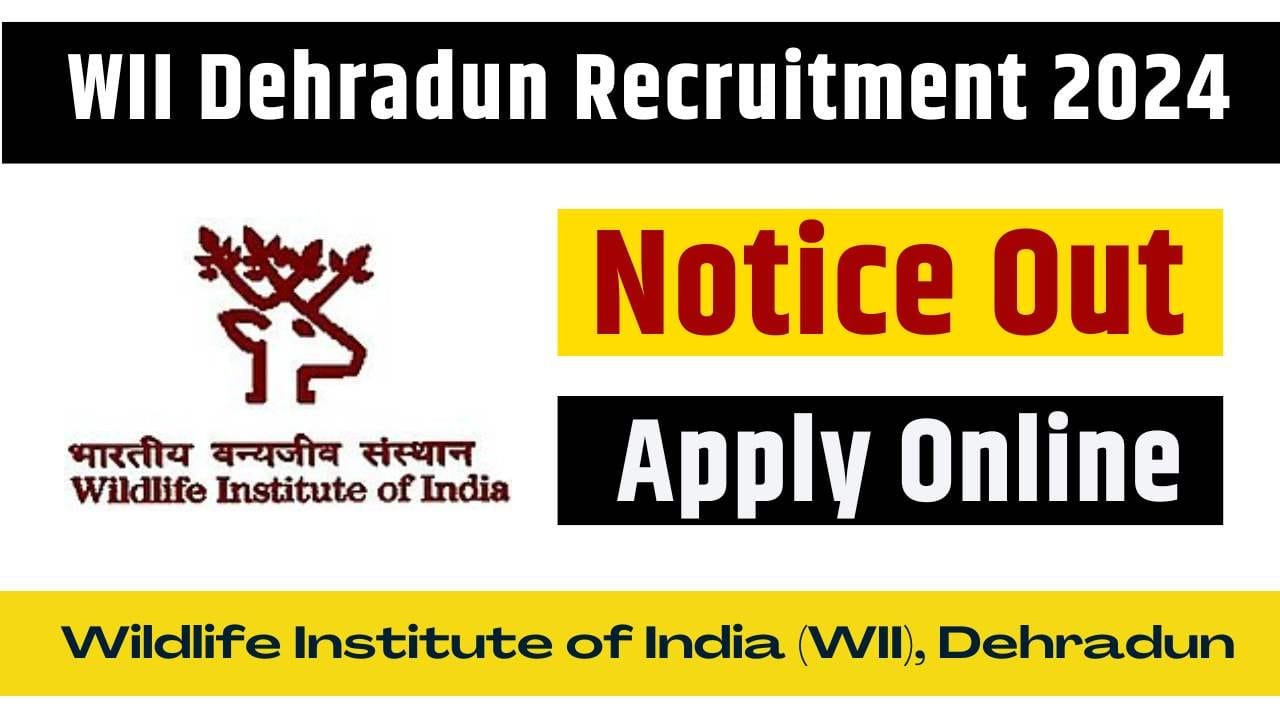 WII Dehradun Recruitment