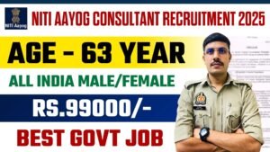 NITI Aayog Consultant