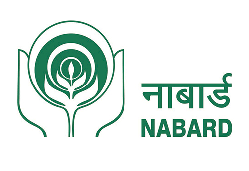 NABARD Grade A Recruitment 2025 Notification Out for 91 Vacancies – Apply Online